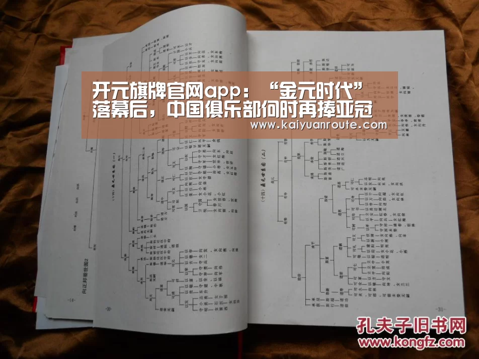 开元旗牌官网app:“金元时代”落幕后,中国俱乐部何时再捧亚冠冠军奖杯?(图4) 开元旗牌官网