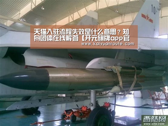 天猫入驻流程失效是什么意思?知舟团体在线解答【开元旗牌app官网】(图2) 开元旗牌app官网