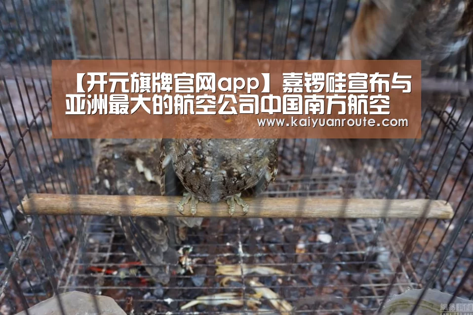 【开元旗牌官网app】嘉锣硅宣布与亚洲最大的航空公司中国南方航空公司签订合作协议(图1) 开元旗牌app官网