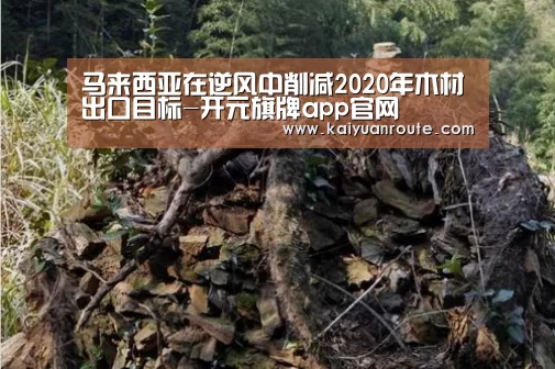 马来西亚在逆风中削减2020年木材出口目标-开元旗牌app官网(图1) 开元旗牌app官网