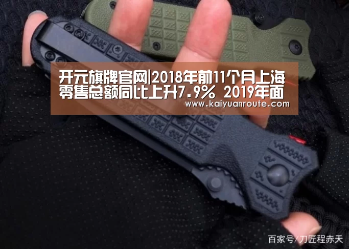 开元旗牌官网|2018年前11个月上海零售总额同比上升7.9% 2019年面临供应压力(图3) 开元旗牌官网