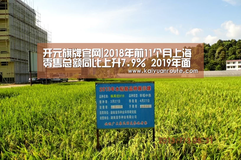开元旗牌官网|2018年前11个月上海零售总额同比上升7.9% 2019年面临供应压力(图4) 开元旗牌官网app
