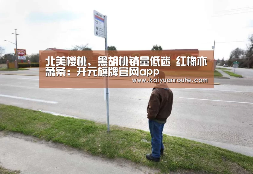 北美樱桃、黑胡桃销量低迷 红橡亦萧条:开元旗牌官网app(图2) 开元旗牌app官网