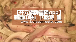 开元旗牌官网