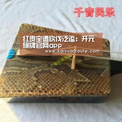 开元旗牌官网app