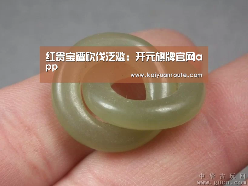 开元旗牌app官网