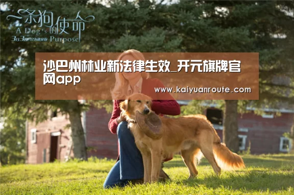 沙巴州林业新法律生效_开元旗牌官网app(图1) 开元旗牌官网