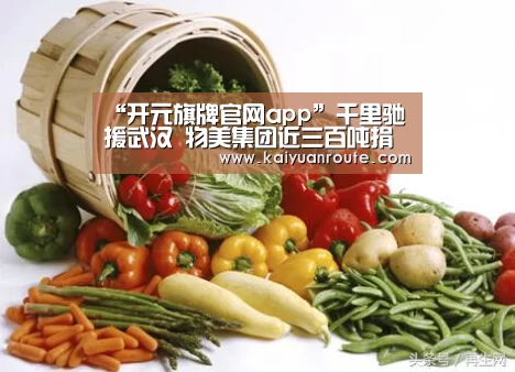 “开元旗牌官网app”千里驰援武汉 物美集团近三百吨捐赠物资发车(图3) 开元旗牌官网app