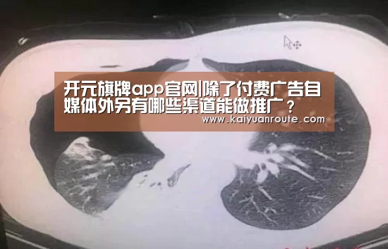 开元旗牌app官网|除了付费广告自媒体外另有哪些渠道能做推广?(图2) 开元旗牌app官网