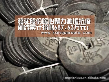 骆驼股份暖心聚力驰援抗疫前线累计捐款687.63万元:开元旗牌官网app(图3) 开元旗牌app官网