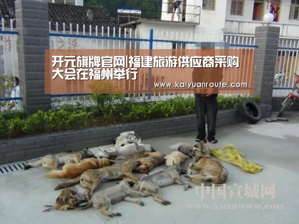 开元旗牌官网|福建旅游供应商采购大会在福州举行(图3) 开元旗牌官网app
